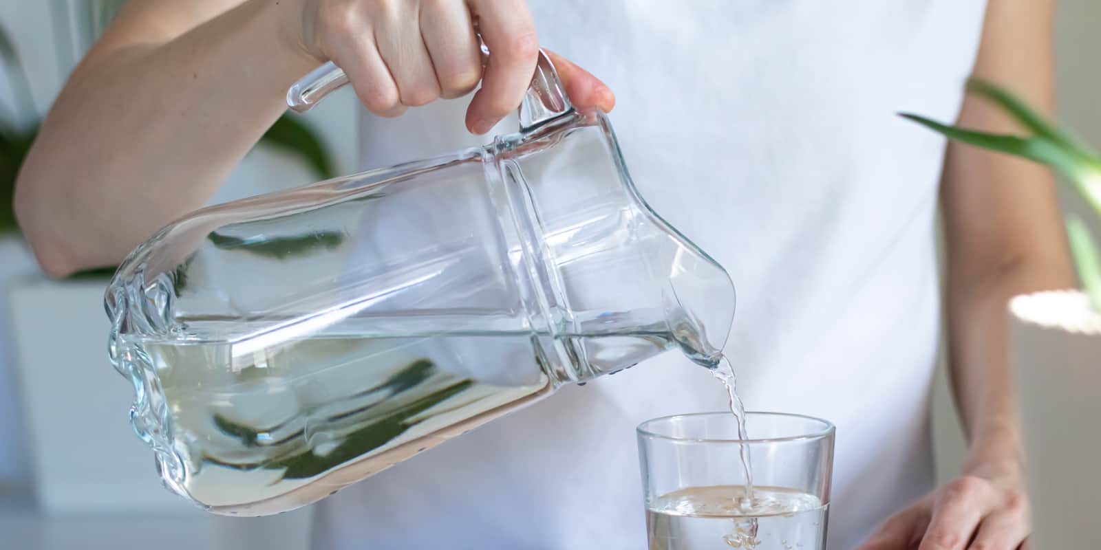 Just like the rest of your body, your scalp requires proper hydration and moisture.